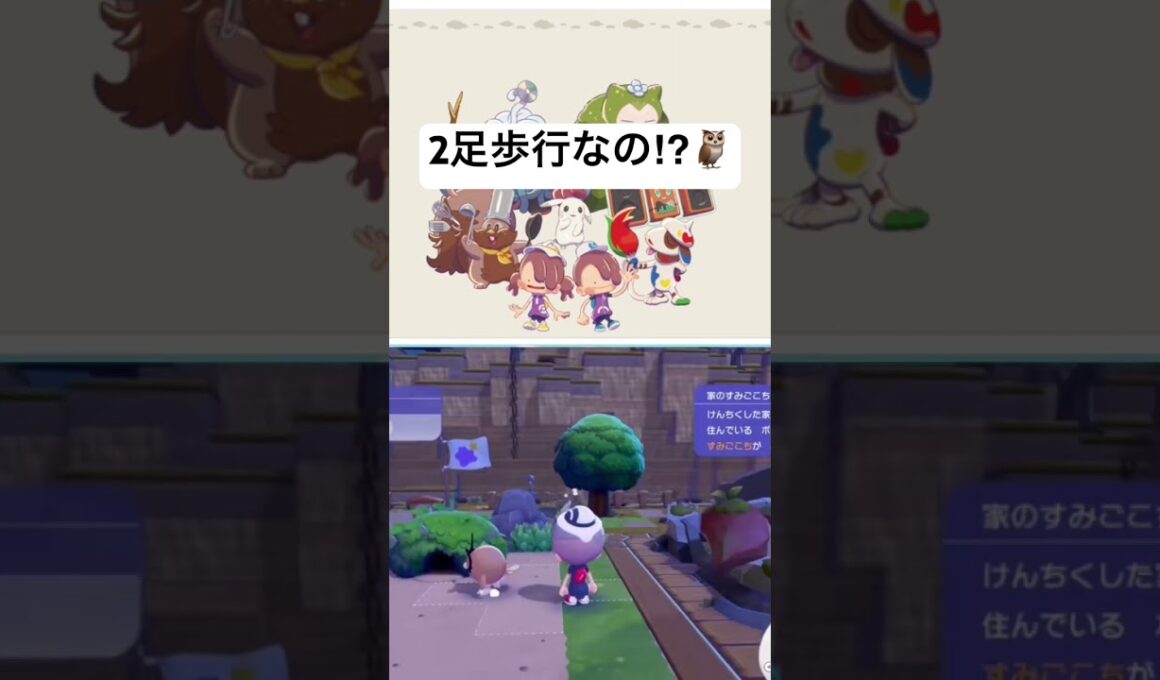 【ぽこあポケモン】ホーホー2足歩行なんて知らなかった🤣Wait, you can walk!?