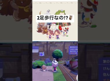 【ぽこあポケモン】ホーホー2足歩行なんて知らなかった🤣Wait, you can walk!?
