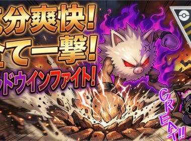 【Sオコリザル】全て一撃粉砕！シャドウインファイト！【HL】
