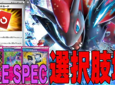 【シクボ型】手札干渉を手に入れてACE SPECに幅が出たゾロアークに注目しています【ポケカ対戦】N's Zoroark ex