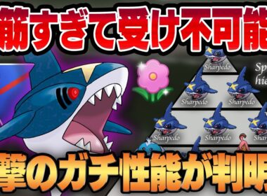 【春カップ】脳筋超絶火力の怪魚、シャドウサメハダーがぶっ刺さり環境で帰ってきた！？何を喰らっても即死の紙耐久なのに衝撃のガチポケっぷりを発揮してしまい困惑必至ww【GBL】