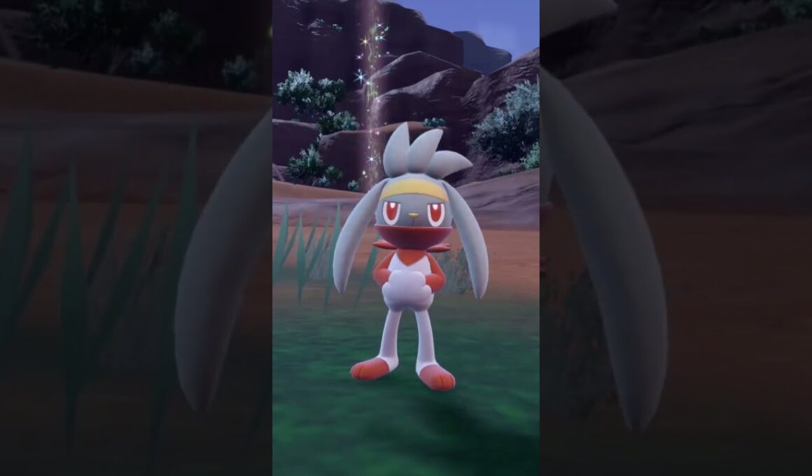 ラビフット 色違い【ポケモンsv】