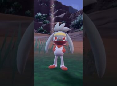 ラビフット 色違い【ポケモンsv】