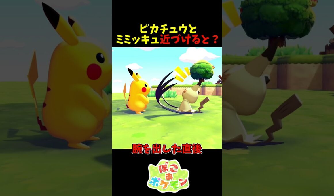 【ぽこあポケモン】ピカチュウとミミッキュを近づけると？
