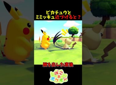 【ぽこあポケモン】ピカチュウとミミッキュを近づけると？
