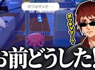 【小ネタ集/ぽこ あ ポケモン】ヘラったポッチャマが通り過ぎて流石に動揺する天開司【Vtuber】