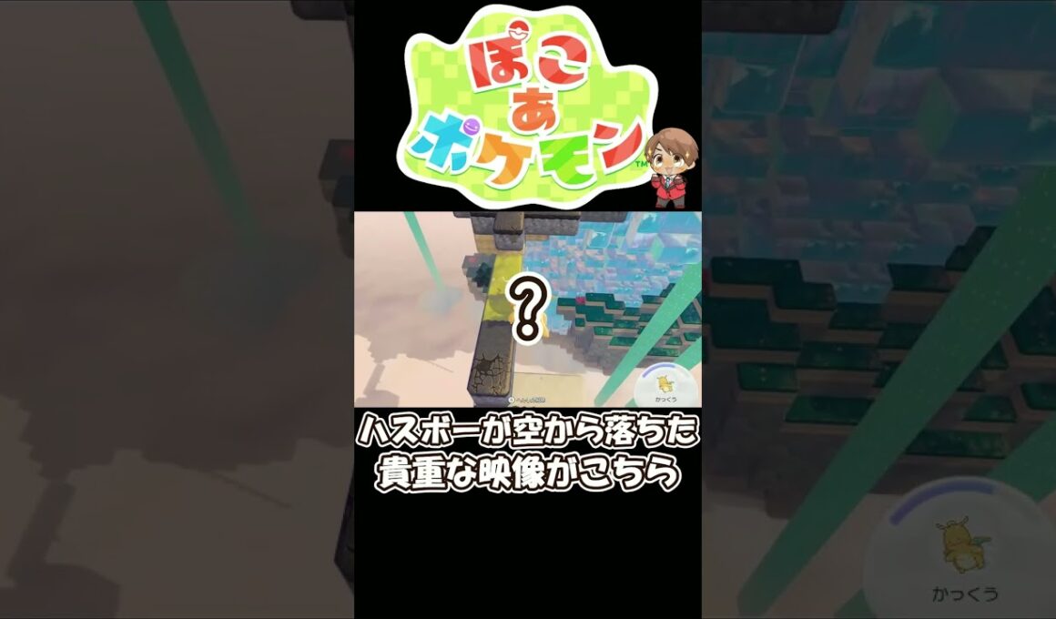 【ぽこポケ】ハスボーが空から落ちた貴重な映像がこちら【ぽこ あ ポケモン】