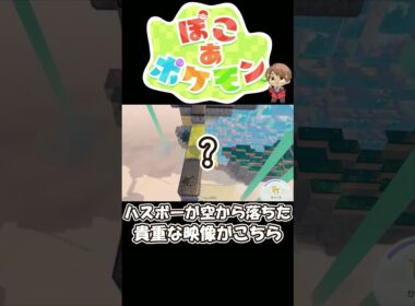 【ぽこポケ】ハスボーが空から落ちた貴重な映像がこちら【ぽこ あ ポケモン】