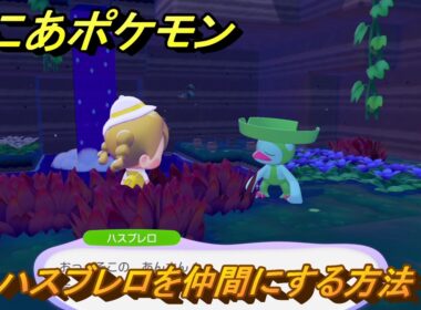 ぽこあポケモン　ハスブレロを仲間にする方法　うるおう赤い草むら　＃３５９　【ぽこポケ】