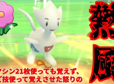 【妖精】"ねっぷう"を新規習得したトゲチックが覇権か？！ブチギレながら潜り続けた結果www【GBL】【春カップ】