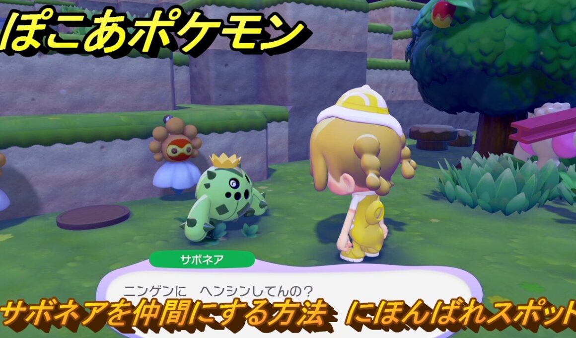ぽこあポケモン　サボネアを仲間にする方法　にほんばれスポット　＃２７１　【ぽこポケ】