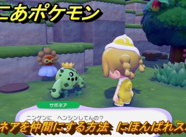 ぽこあポケモン　サボネアを仲間にする方法　にほんばれスポット　＃２７１　【ぽこポケ】