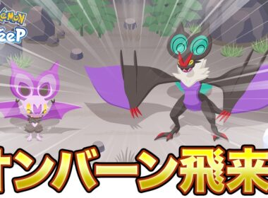 【ポケモンスリープ 初見ちょい予想】オンバーン来たがな！！！！