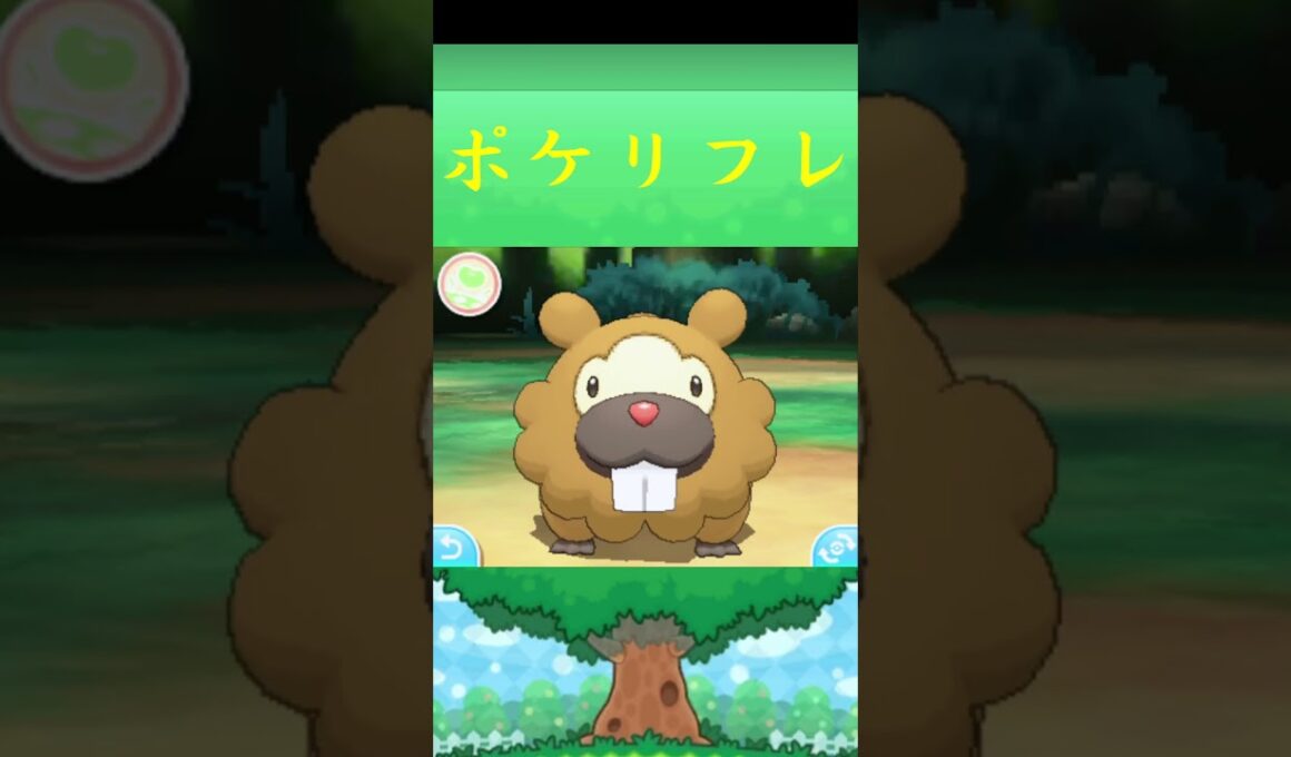 ビッパ*ポケモン ポケリフレ ポケパルレ #ポケモン #Pokemon  #3DS #nintendoswitch #ポケモンsv #ポケモン #キャンプ #サンドイッチ #ピクニック