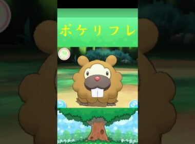 ビッパ*ポケモン ポケリフレ ポケパルレ #ポケモン #Pokemon  #3DS #nintendoswitch #ポケモンsv #ポケモン #キャンプ #サンドイッチ #ピクニック