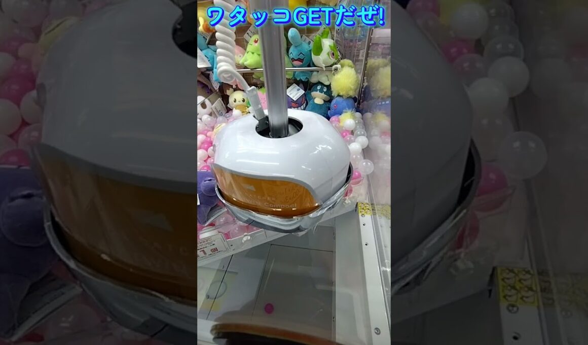 #クレーンゲーム #攻略 #ポケモン30周年 #ポケモン #ワタッコ