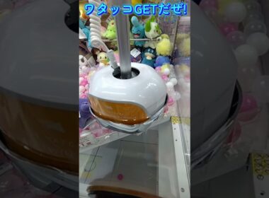 #クレーンゲーム #攻略 #ポケモン30周年 #ポケモン #ワタッコ