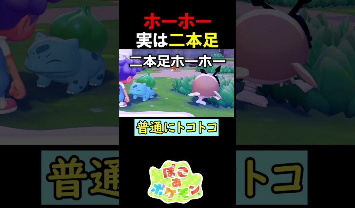 ホーホー、実は二本足で歩く【ぽこポケ】