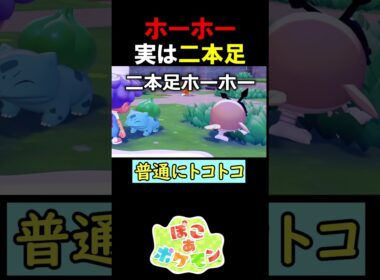 ホーホー、実は二本足で歩く【ぽこポケ】