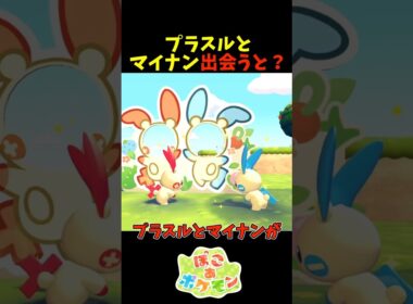 【ぽこあポケモン】プラスルとマイナンが出会うと？