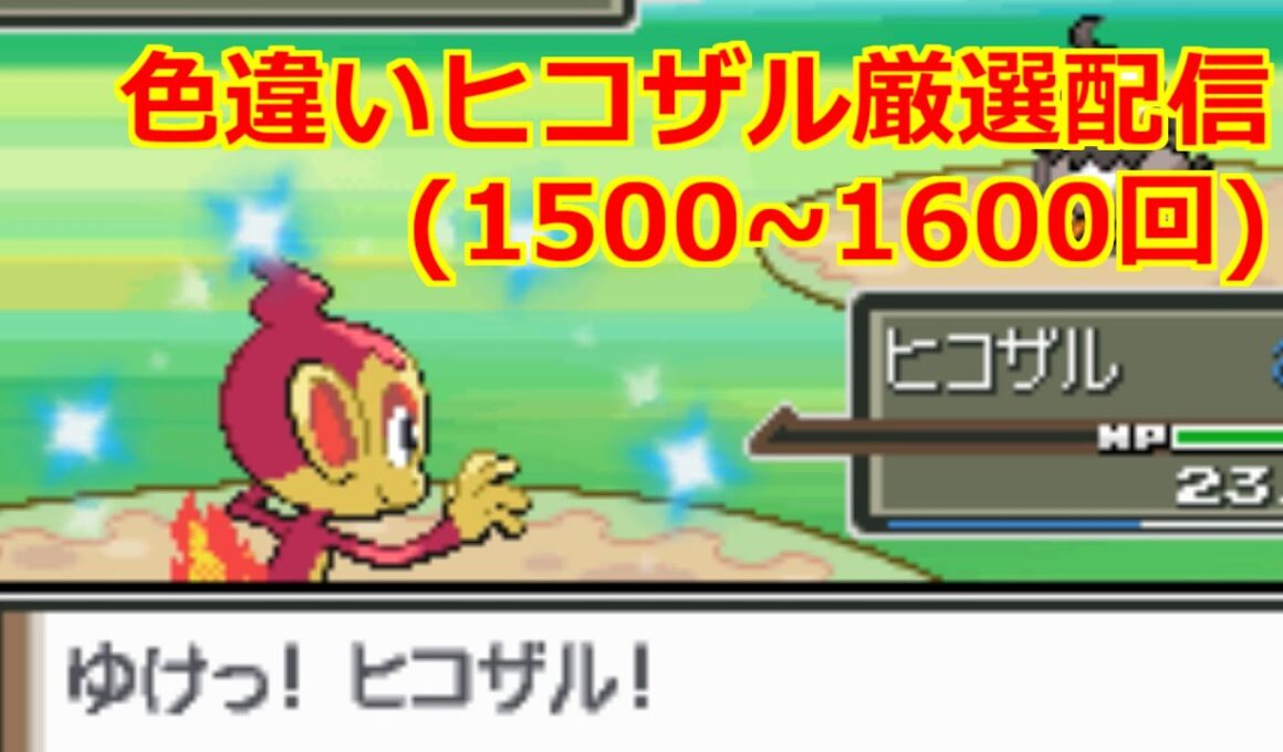40秒で分かる！色違いヒコザル厳選配信ダイジェスト 2025年9月30日