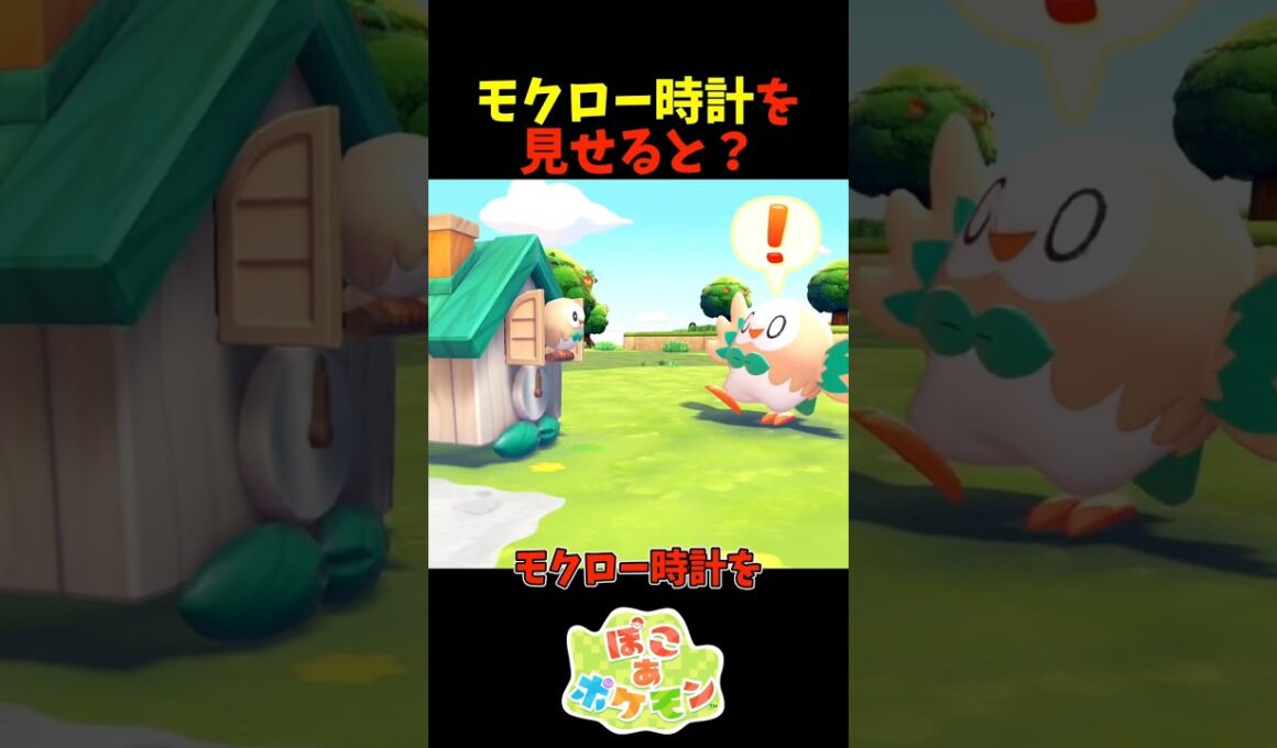 【ぽこあポケモン】モクローにモクロー時計を見せると？