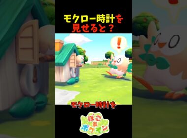 【ぽこあポケモン】モクローにモクロー時計を見せると？