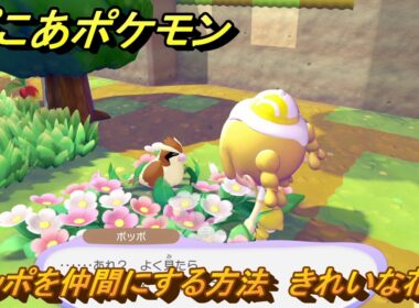 ぽこあポケモン　ポッポを仲間にする方法　きれいな花畑　＃３４　【ぽこポケ】