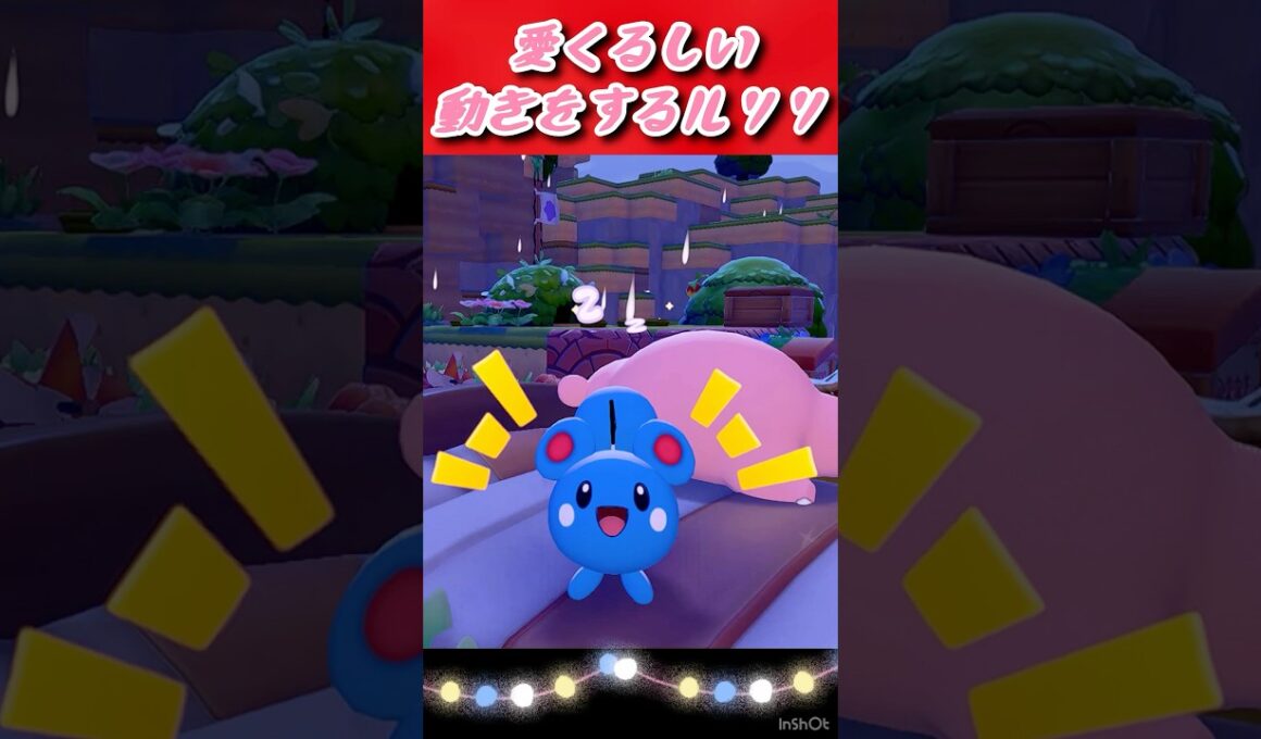【ぽこあポケモン】超あざといルリリちゃん💧　#shorts #ポケモン #ぽこあポケモン