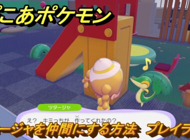 ぽこあポケモン　ツタージャを仲間にする方法　プレイランド　＃１９７　【ぽこポケ】