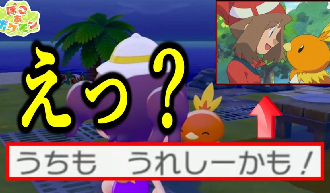 アチャモの台詞がハ○カすぎて情緒がおかしくなる一般トレーナー【ぽこ あ ポケモン】