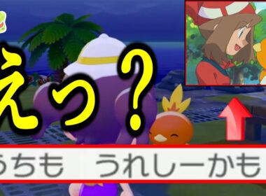 アチャモの台詞がハ○カすぎて情緒がおかしくなる一般トレーナー【ぽこ あ ポケモン】