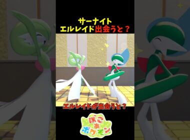 【ぽこあポケモン】サーナイトとエルレイドが出会うと？