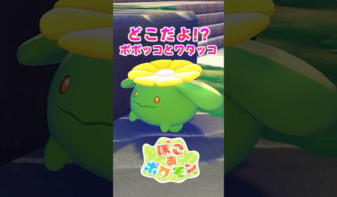 【ぽこポケ】どこにいるんだよ!! 期間限定ポケモンやアイテムが入手できるイベントでポポッコとワタッコを簡単に出す方法【切り抜き】 【ぽこあポケモン】#shorts