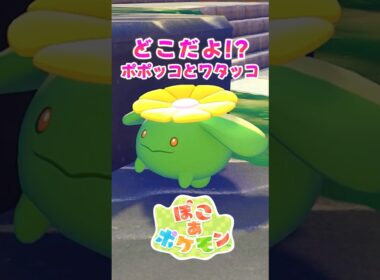 【ぽこポケ】どこにいるんだよ!! 期間限定ポケモンやアイテムが入手できるイベントでポポッコとワタッコを簡単に出す方法【切り抜き】 【ぽこあポケモン】#shorts