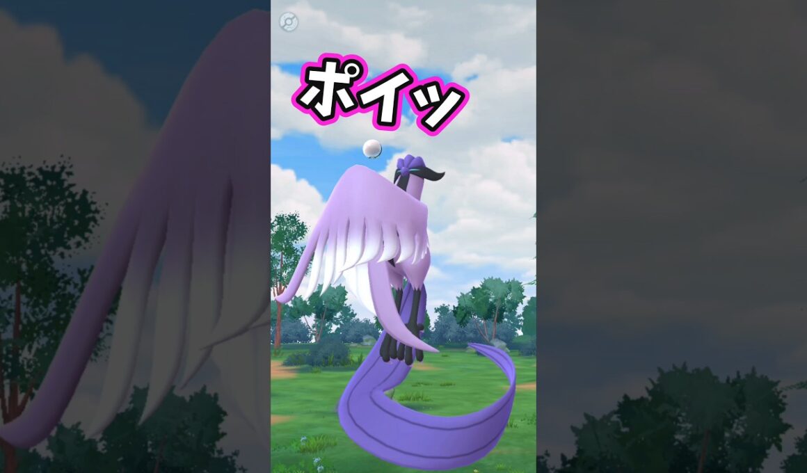 ガラルフリーザーさん対戦よろしくお願いします。【ポケモンGO】【ガラル三鳥】