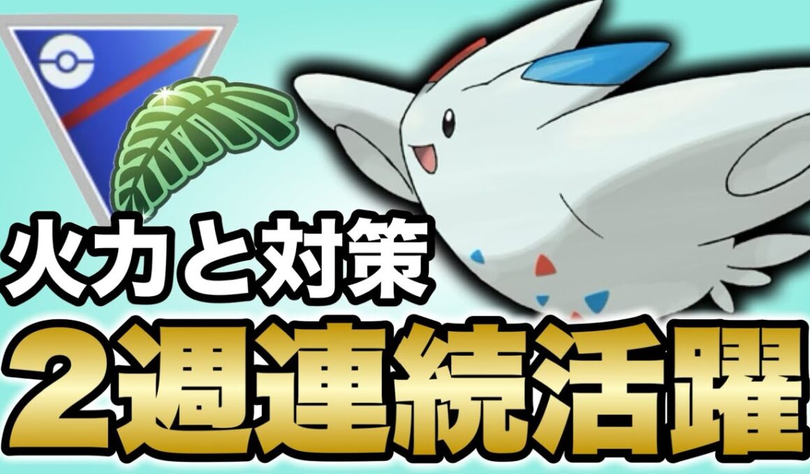 高火力アタッカーのトゲキッスが今週も活躍してくれます！【ポケモンGO】【GOバトルリーグ】