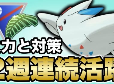 高火力アタッカーのトゲキッスが今週も活躍してくれます！【ポケモンGO】【GOバトルリーグ】