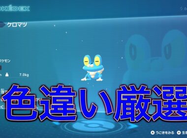 【ポケモンレジェンズZA】ケロマツ色違い厳選！！