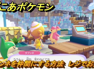 ぽこあポケモン　タブンネを仲間にする方法　レジでお会計　＃２２９　【ぽこポケ】