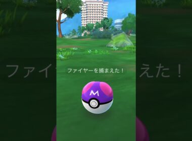 【ポケモンGO】ガラルファイヤーゲッチャレ #ポケモン #pokémon #伝説 #pokémongo #ガラル三鳥 #ファイヤー #파이어 #moltres #shorts