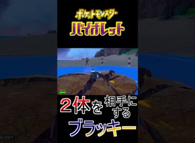 【ポケモンSV】二人を相手にするブラッキー #ポケモン #ポケモンSV #ブイズ #ブラッキー #Shorts