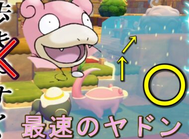 道を整備せずに川を作ったらヤドンはどうするの？【ぽこ あ ポケモン】