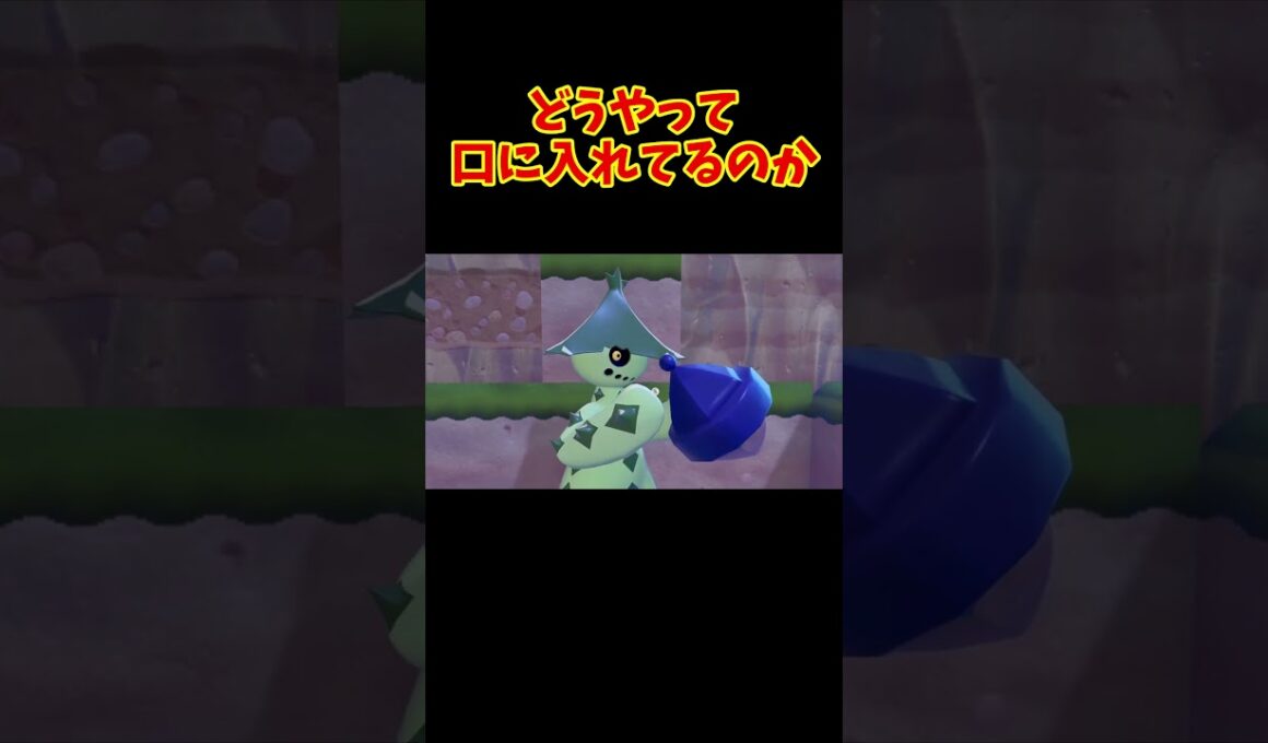 ノクタスの咀嚼