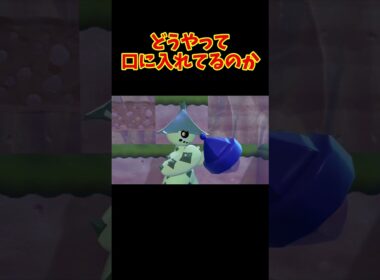 ノクタスの咀嚼