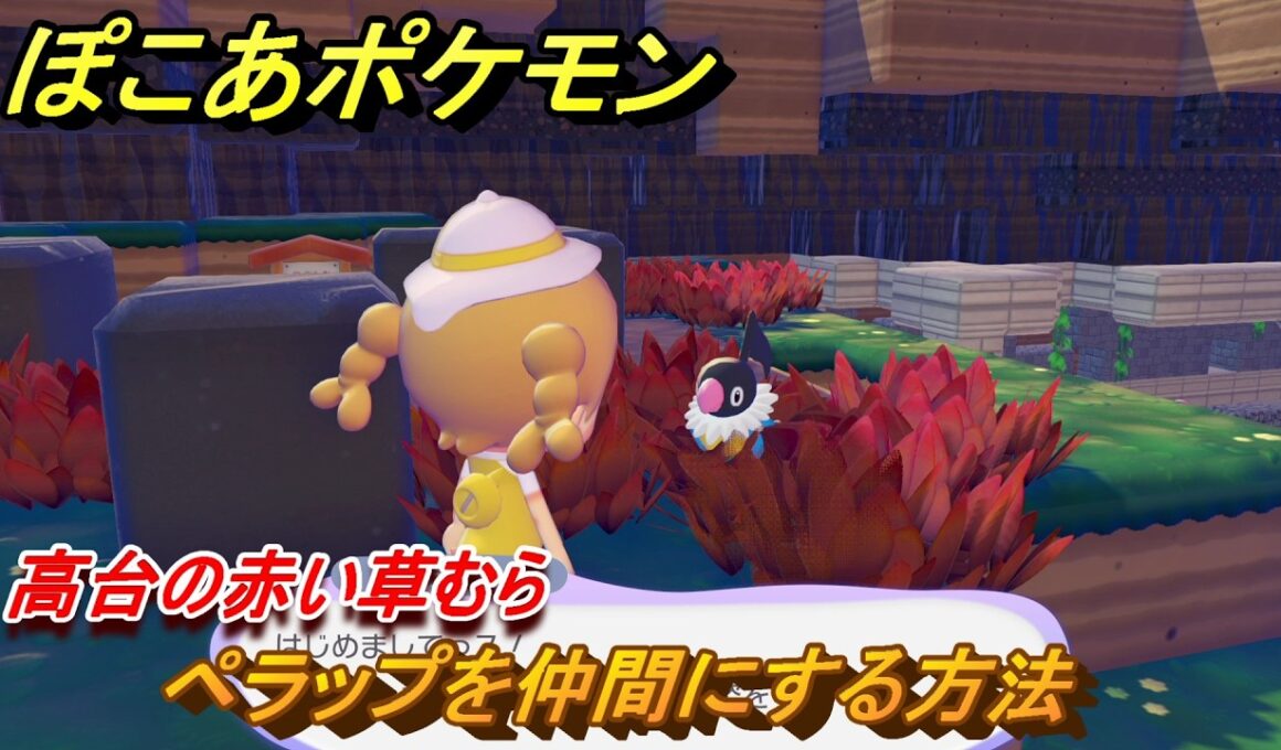 ぽこあポケモン　ペラップを仲間にする方法　高台の赤い草むら　＃２９７　【ぽこポケ】