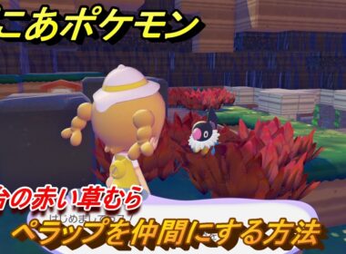 ぽこあポケモン　ペラップを仲間にする方法　高台の赤い草むら　＃２９７　【ぽこポケ】