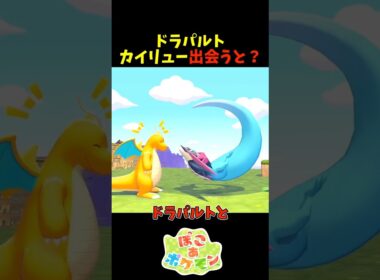 【ぽこあポケモン】ドラパルトとカイリューが出会うと？