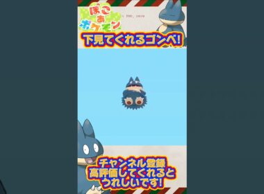 【ぽこ あ ぽけもん】下を見てくれるゴンベ!#shorts