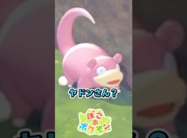 「歩くヤドン」マイペース過ぎん？笑 #ぽこポケ #ぽこあポケモン #ポケモン